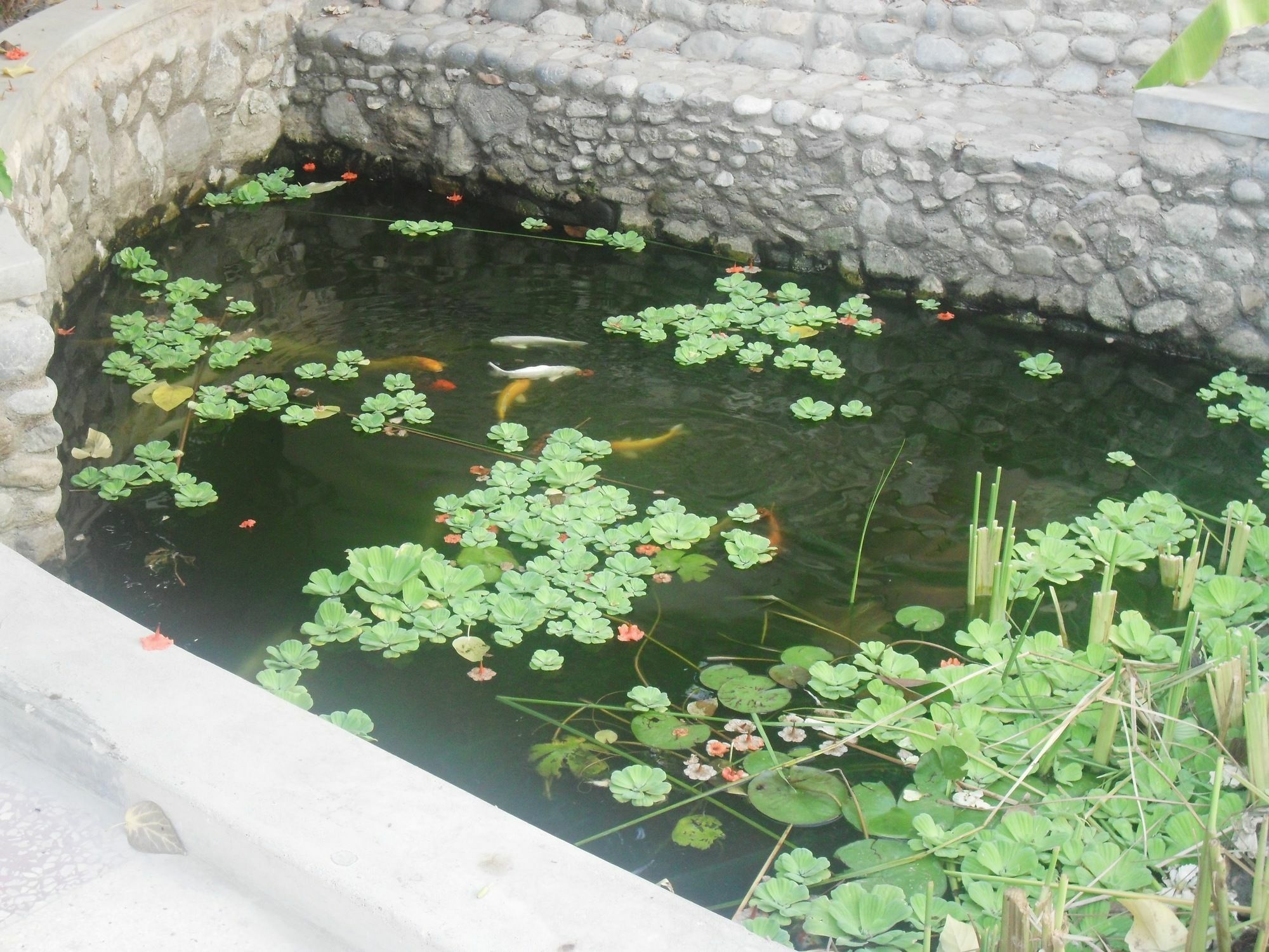 Garden Roomz Oman Mascate Exterior foto